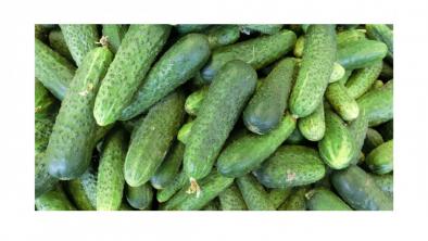 Castravetii, alimente cu foarte putine calorii