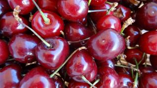 Ciresele, fructele care purifica sangele. Ciresele, fructele care purifica sangele.